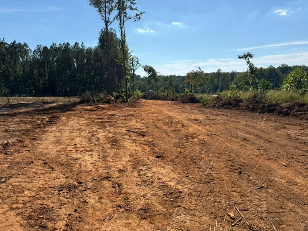 Lot cleared to bare dirt with brush and root debris pushed into windrows along both edges